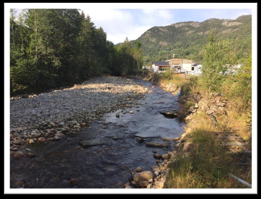 Bygdaråi ved Bergene Holm