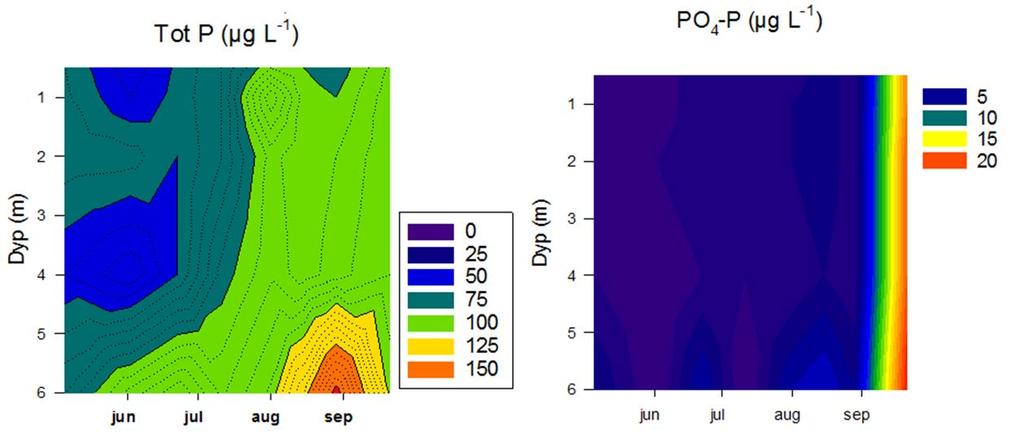 Algemengde, ph og fosfor Chla (µg L -1 ) ph Høy algemengde over termoklin junimidten av september Dyp (m) 1 2 3 4 5 20 30 40 50 60 70 Dyp (m) 1 2 3 4 5 7,5 8,0 8,5 9,0 TotP >50 µg/l og øker mot