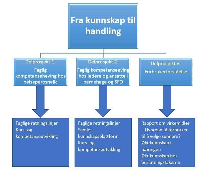 1. Innledning «Fra kunnskap til handling er et tverrfaglig, nasjonalt prosjekt, der hovedmålsetting er økt kompetanse på forebygging og behandling av livsstilssykdom og overvekt hos barn og unge.