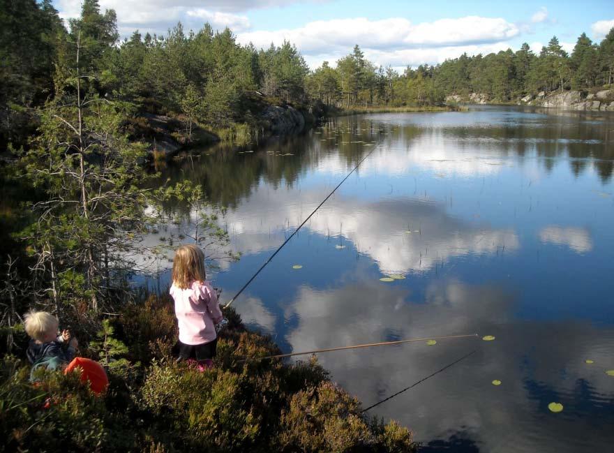 1 Innledning Degernesfjella i Østfold er et stort sammenhengende naturområde med mange småvann, som er et viktig regionalt rekreasjonsområde (figur 1).