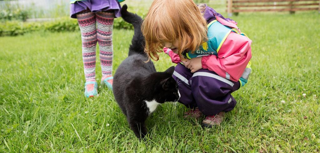 Samarbeidet vi har med Kullbotn gård gir barna unike opplevelser i samspill med dyr, og er en arena for å utvikle omsorg og empati.