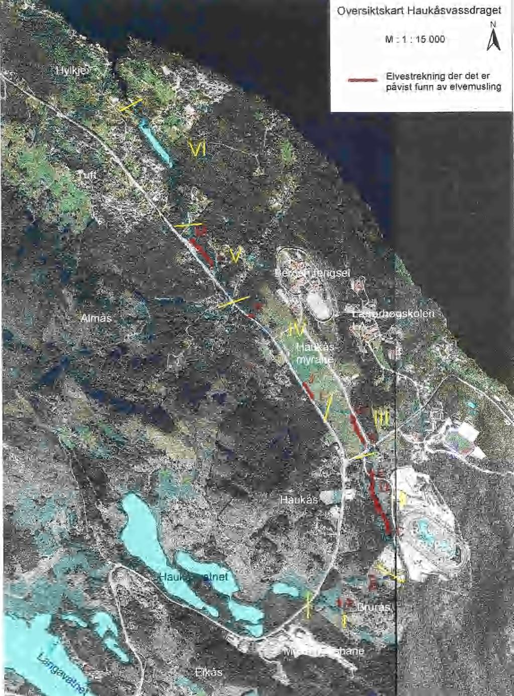 Elvemuslingen «gjenoppdaget» i 2002.