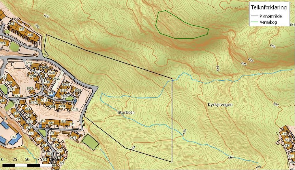 4. Føresetnader for konklusjonane 4.1 Skog Skredfarevurderinga er gjort med dagens vegetasjonsforhold. Det er eit potensielt losneområde for snøskred i fjellsida opp mot Morvikvarden.