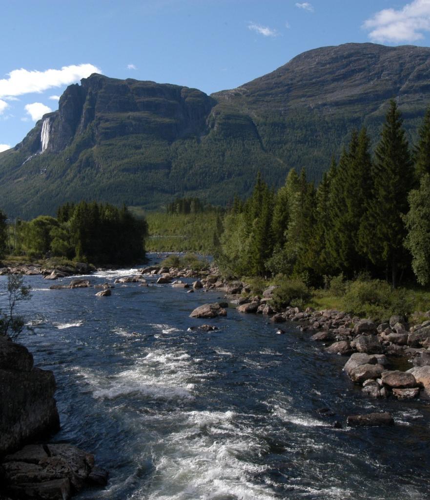 Reiseliv Kommer både turister og