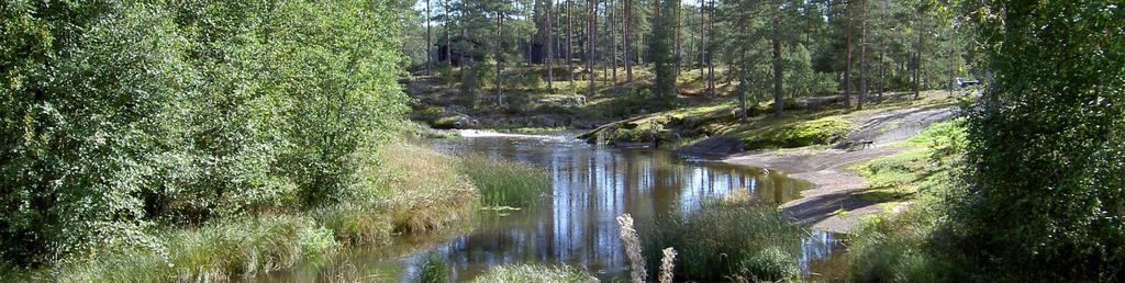 år! Lang sikt -