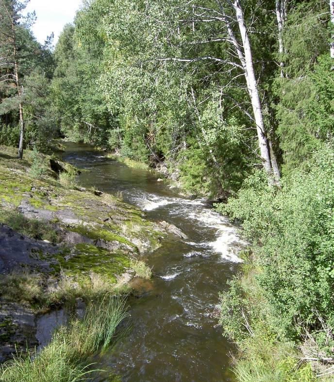 A pro pos klasser og naturtilstand Hva ville en slik bekk naturlig ha tilført av næringsstoff og partikler og hvem kan si noe om hvor stor elveløpserosjonen er?