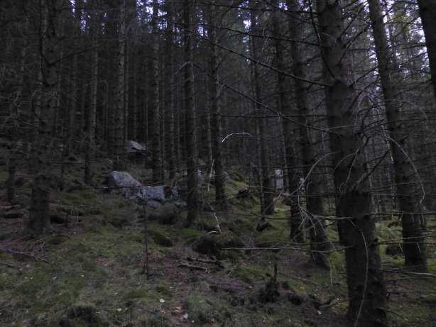 På østsiden vil det være vanskeligere å bygge/legge rørgaten uten å forurense drikkevannet. Her må flere bekker og tilsig krysses med rørgaten.