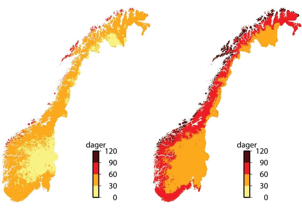 Klimaprojeksjoner for Norge RCP8,5 Årstemperatur øker med 4,5 (3,3 til 6,4 ) Mye lengre vekstsesong, men samme lysforhold Årsnedbør øker med 18 % (7 til 23 %) Styrtregnepisodene blir kraftigere og