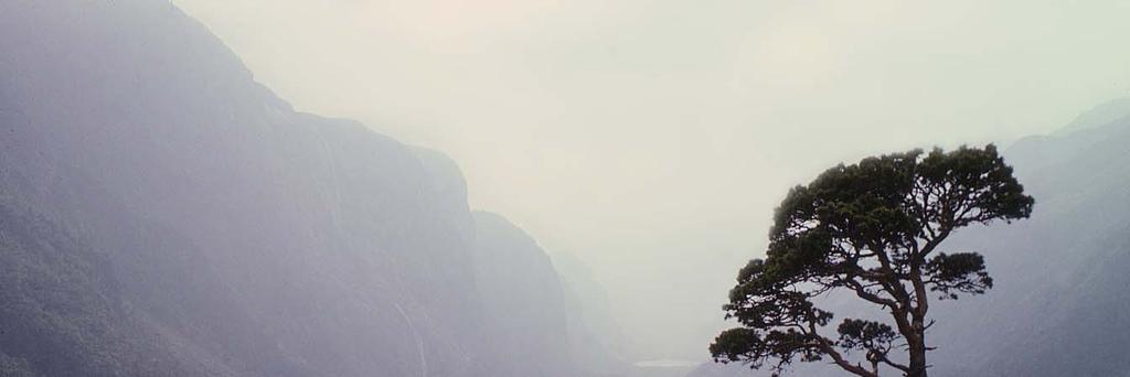 verdskjende element som Preikestolen og Kjeragveggen, og Fidjadalen, med mellom anna Månafossen, den høgaste fossen i Rogaland, er karakterskapande område.