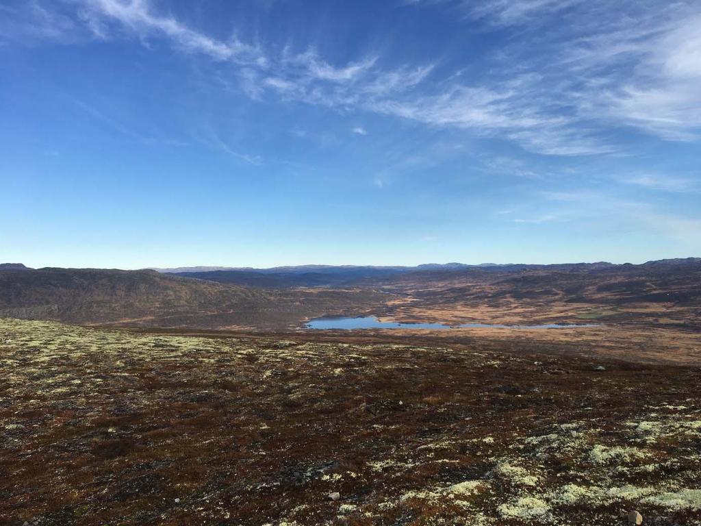 Sårbare naturverdiar og trugsmål I Hovden landskapsvernområde finn ein eit av dei få områda i Aust Agder med karakteristisk viddepreg.