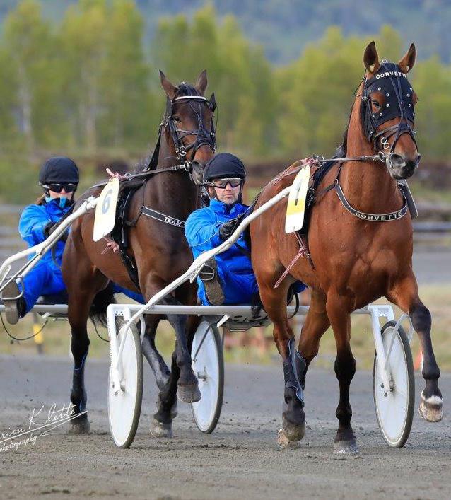 Nr. 12 2019 BODØ TRAVBANE LØRDAG 23. JUNI Se tidsskjema s.