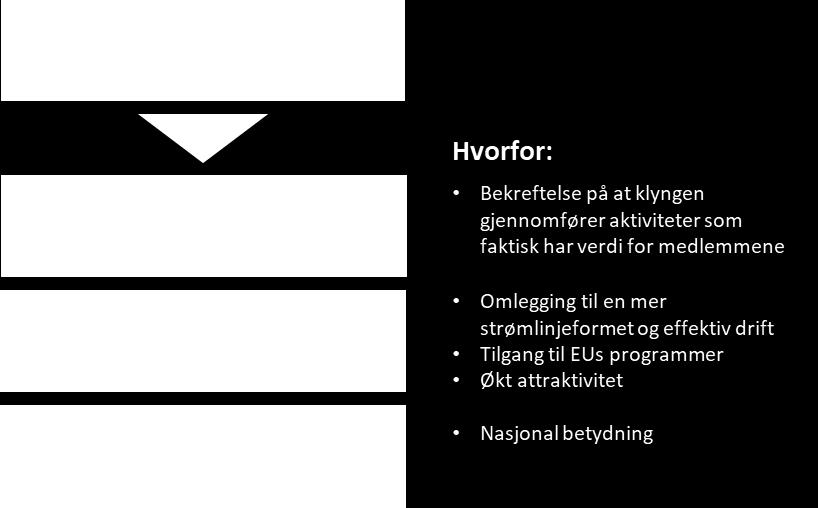 Bruk av NCE merkenavnet NORWEGIAN