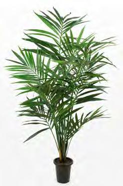 Kentia Palm 7338-140 H: 140 cm Pris: 1020,- ART.