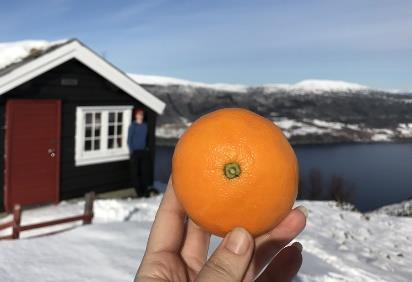 - FRILUFTSKONFIRMANTER I tillegg til undervisning inne vil friluftskonfirmantene være ute, brenne bål, ake og snakke om livets store spørsmål i det fri. (Maks 12 konf.) 3.