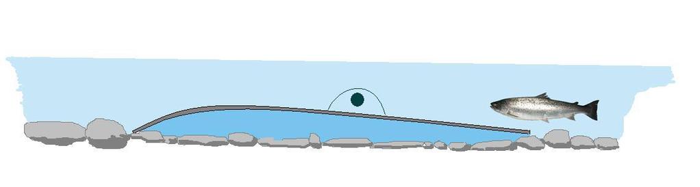 Figur 3. Lengdesnitt av kameralokaliteten i Åelva. Hver av de fire kameraene står plassert på en stålplate med vingeprofil som ligger på bunnen.