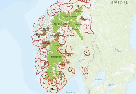 Nasjonal ramme for vindkraft på land Oppdrag fra OED til NVE Miljødirektoratet har hatt eget oppdrag fra KLD om klarlegging av miljøinteresser Nasjonale villreinområder (grønne) tatt ut i «myk