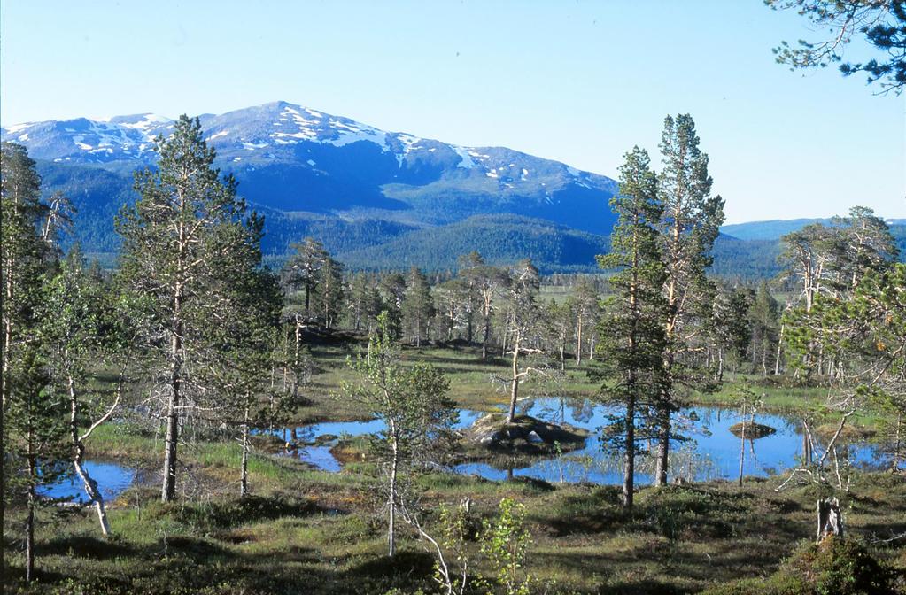 Seier: Ånderdalen i Troms blir vernet som