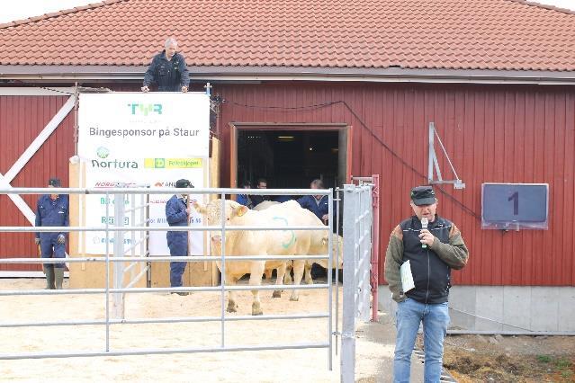 Oppdretter er By gård v/hermod Fledsberg, fra Steinkjer i Trøndelag Simmental 31688 Nurk av Sandbuløkken, rangtall 116.