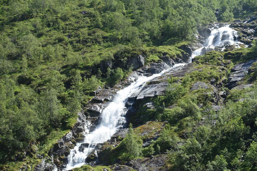 side 2 av 5 enger. (Det vart funne ei raudlista mose i kategori NT). Det går fram av rapporten at sjølv om desse er små bidrar dei samla sett til stor variasjon av habitat langs elva.