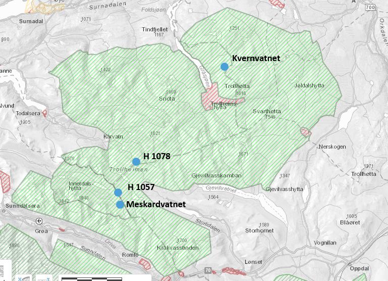 2. Flygingen skal utføres på hverdag i løpet av perioden 15. september 1. desember 2019, og på en slik måte at det tas hensyn til naturmiljø, vilt /rein og mennesker. 3.