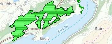 Sak 63/17 Søknaden er komplett og oppfyller de formelle kravene satt i forskrift om nydyrking og kan derfor tas opp til behandling.