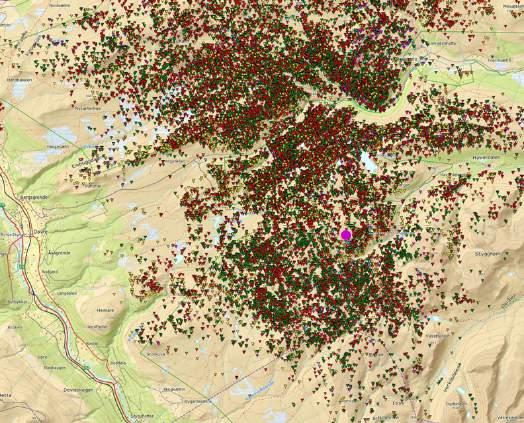 sammenlignet med andre deler av Rondane. Slike områder vil det framover være svært viktig å skjerme. GPS-posisjoner merka simler 2009-2016 (fra wwwold.dyreposisjoner.no).