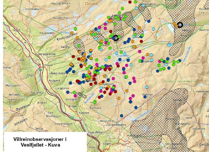 Dovre». Her er det foretatt registreringer siden 2013. Disse registreringene omfatter alle typer dyr, ikke bare simler (se neste kart).