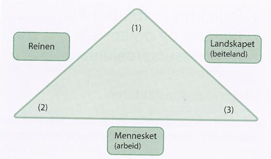 3.2 Reindriftas egenforvaltning Samisk reindrift er basert på de tre hovedfaktorene landskap/beite, rein og reindriftsutøvere (Skum 1955,