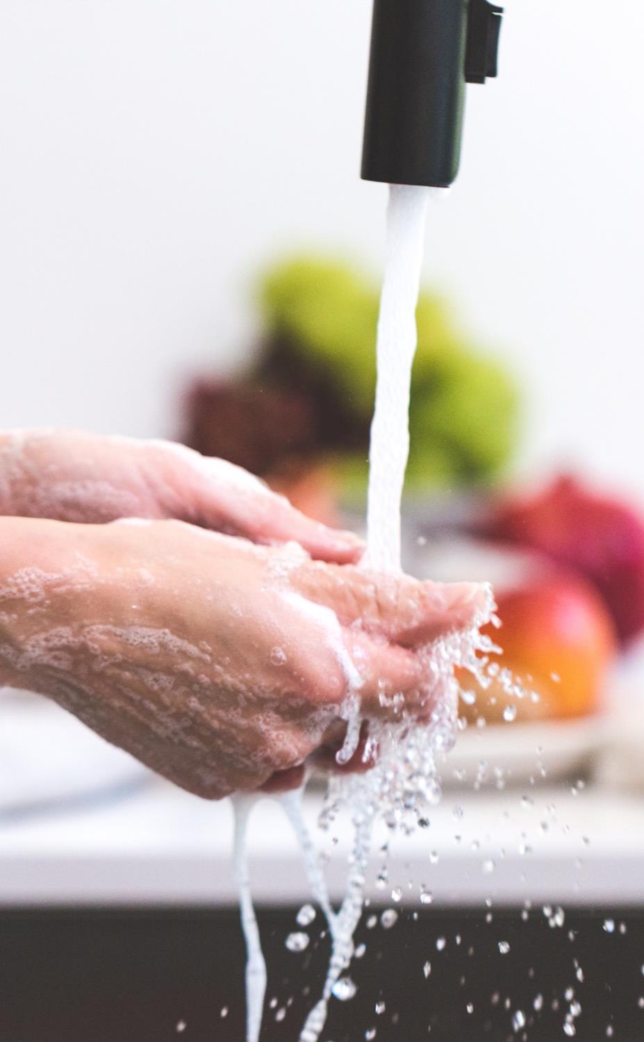 Håndvask Hyppighet håndvask under matlaging: Observasjonsstudier, 15