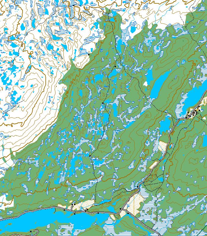 Flensmarka (nord), (Røros og Engerdal). Grenser for verneverdig skogområde.