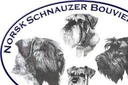 RETNINGSLINJER FOR RASEKOMITÉENE NORSK SCHNAUZER BOUVIER KLUBB Spesialklubb for rasene Bouvier des Flandres, Dvergschnauzer, Schnauzer og Riesenschnauzer Vedtatt av Styret i Norsk Schnauzer Bouvier