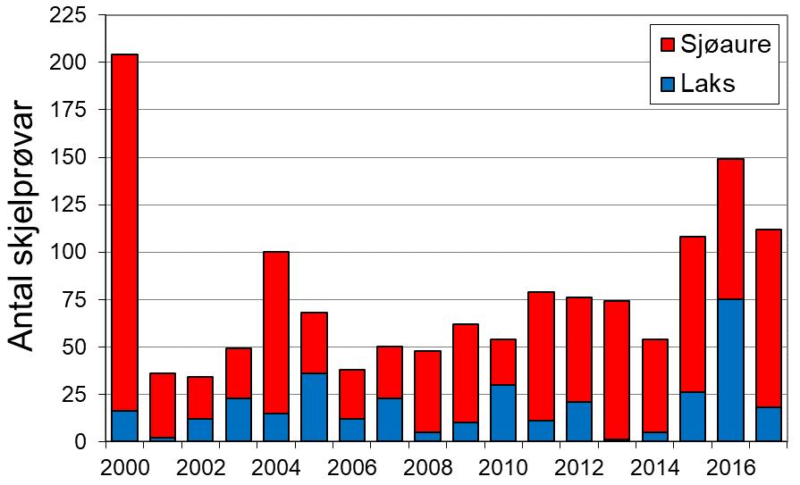 Villaksen har vore freda sidan 2000, så fangstane av laks desse åra er rømd oppdrettslaks og gjenutsett villaks. I 2017 vart det registrert ein laksefangst på 84 fisk, 65 av desse vart sette ut att.