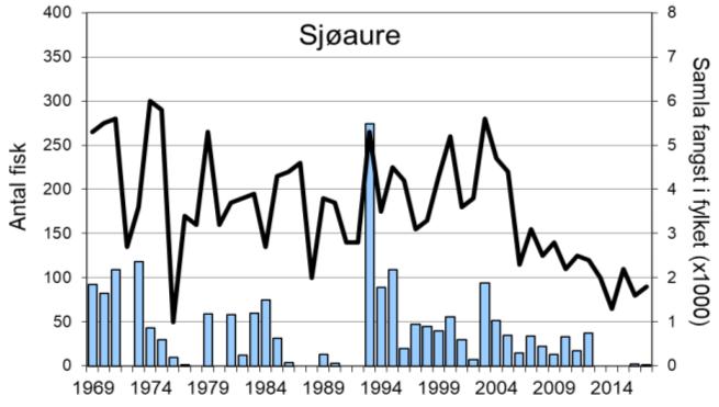 I 2016 vart det opna for fiske etter laks, og dei to siste åra er det fanga høvesvis 78 og 18 laks.