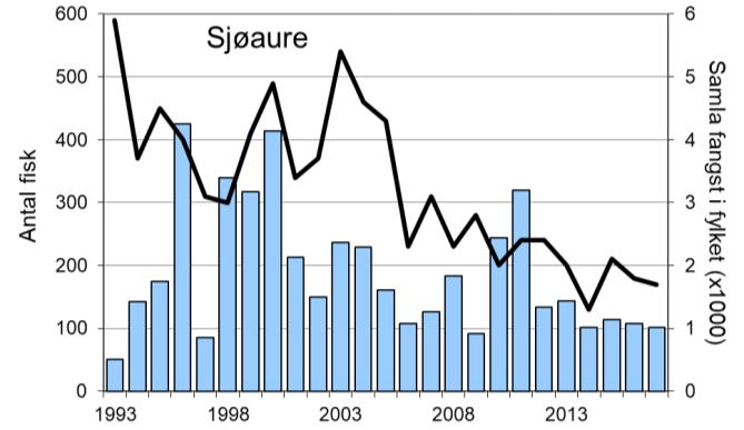 Etter at villaksen har vore freda sidan tidleg på 1990-talet, vart det opna for ordinært fiske i 2003. I rekordåret 2005 vart det fanga 277 laks, langt meir enn noko anna år.