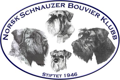 Lover for Norsk Schnauzer Bouvier Klubb stiftet 1946 Vedtatt av årsmøte den 21.4.2018. Vedtatt av årsmøte den 09.3.2019. Lovene er godkjent av Norsk Kennel Klubb den 19.06.2019 Kap.