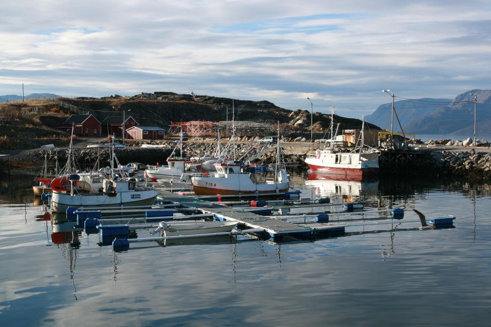 Mange båteiere står fortsatt på venteliste. Erfaring så langt, tilsier at Nyvoll marina vil bli endret/justert i 2008. PROSJEKTSTATUS PR. 31.12.07 Nr.