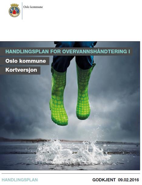 Handlingsplanen Hovedrapport (med kortversjon) Delrapport 1 Juridiske vurderinger med vedlegg o Forslag til interne saksbehandlings- og samhandlingsrutiner, o Grunnlag for krav og