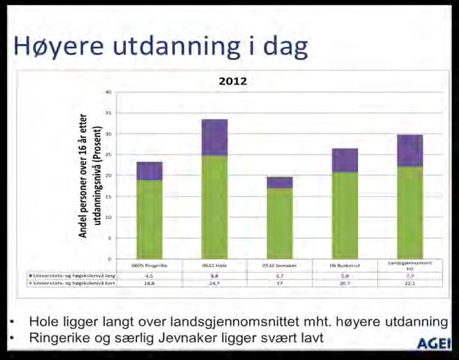 Figur 1.4: Høyere utdanning på Ringerike En ser av figur 1.4 at Hole har et svært høyt utdanningsnivå, høyere enn landsgjennomsnittet i begge utdanningskategoriene.