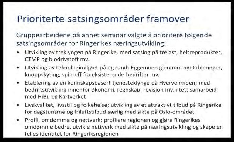 Figur 3.1. Prioriterte satsingsområder i næringsplanen En ser av figuren at utvikling av treklyngen til et framtidsrettet trebearbeidingsmiljø på Ringerike er ønsket som et prioritert satsingsområde.