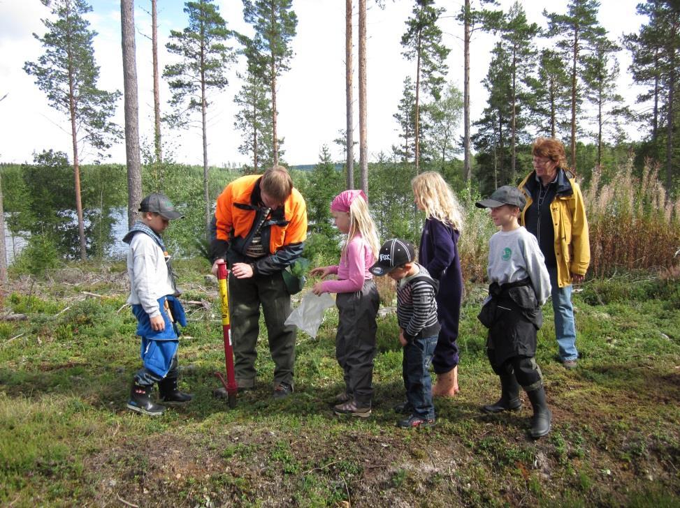 Strategiplan for Eidskog Kommuneskoger 2017-2019 Foryngelse på flere