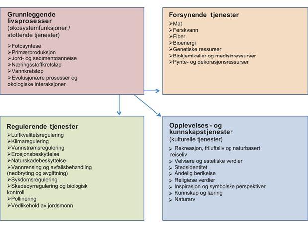 Økosystemtjenester-bidrag til bedre planlegging?