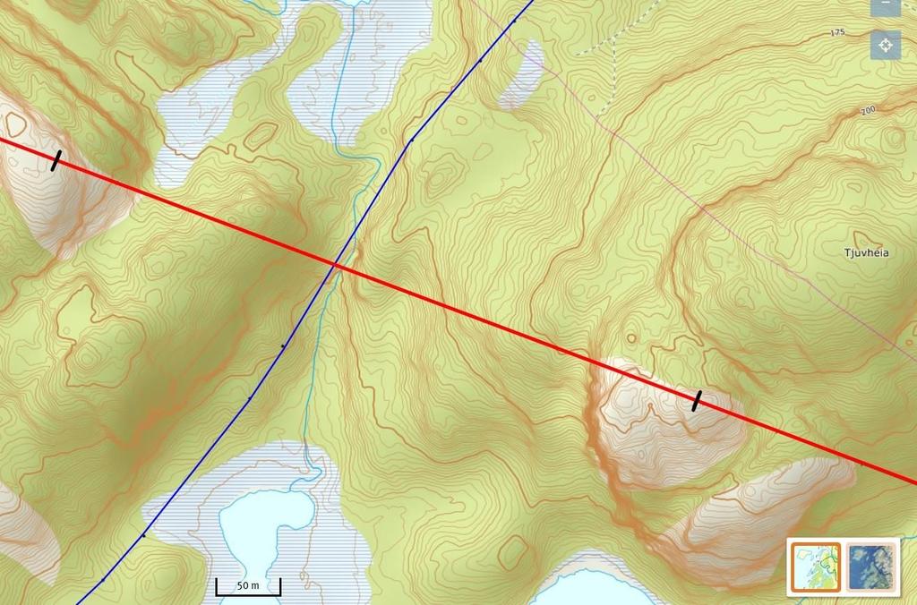 Statens havarikommisjon for transport Side 10 Figur 4: Området hvor kraftlinjene krysset. 132 kv linjen merket rød og 22 kv linjen merket blå. Nordre del av Austertjenn er synlig nederst i bildet.