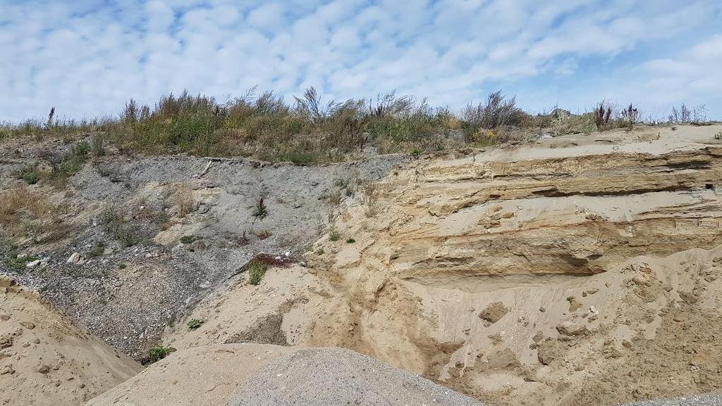 24 LAMYRA-HYDROGEOLOGISK KONSEKVENSVURDERING AV MASSETAK 5 Planer for masseuttaket Skaaret Landskap AS ønsker å utnytte løsmassene innenfor planområdet.