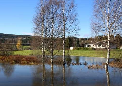 MILJØ OG KLIMA Pensjonistpartiet i Nittedal har ren luft, ren jord og rent vann som overordnet mål Utslipp av miljøgifter må straffes strengt Alle boområder skal skjermes mot støy og forurensning for