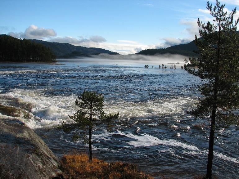 Klimaendring og vannkvalitet Kjemisk vannkvalitet hva kan