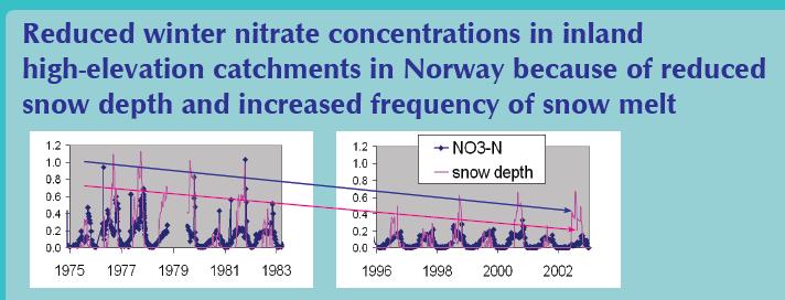 påvirker nitratavrenning Birkenes 1980-2018