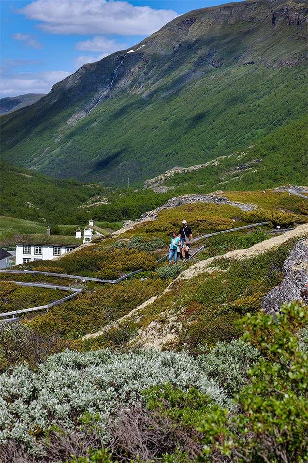 Seksjon for naturhistorie har forskning innenfor biogeografi, biosystematikk, og økologi med vekt på bevaringsbiologi.