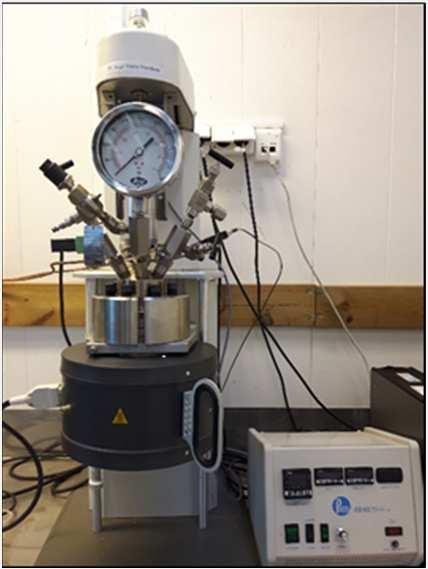 Seksjon realfag - Bioraffiniering Reactor Engineering and Catalysis Bioraffineringsprossesser og