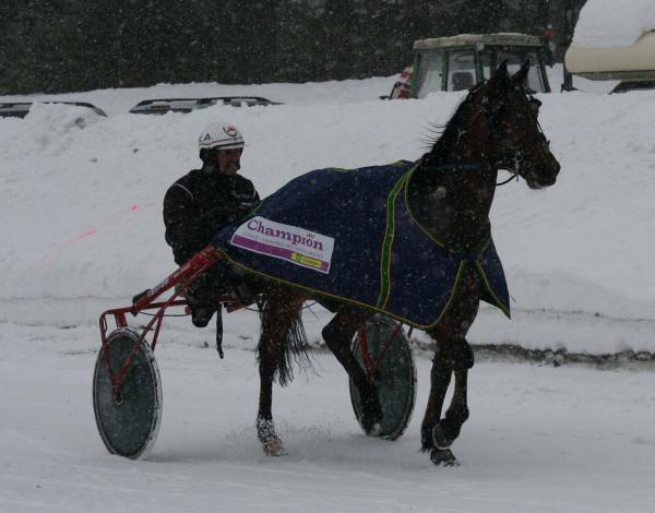 Knutsen Ulsrud Mikk / Lill-Tove Skar J.C. Frances / Karl Andreassen Hålands Lilje / Kristen Håvard Trøseng 4. løp. Varmefag Kongsberg s løp / DNT s pokal Kaldblodshester, 3 år. 1840 m.