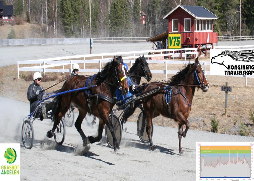 januar 2012 hadde laget 131 medlemmer. Kongsberg Travselskap er et av 11 travlag tilknyttet Buskerud Travforbund.